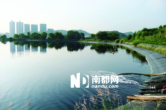 <p> 打鼓嶺堆填區(qū)其中一處污水儲存池，背后就是深圳蓮塘的高層住宅。南都記者 康殷 攝</p>