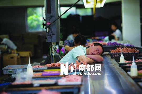 <p>    →昨日上午，工人集體歇工，流水線上的工人趴在崗位上睡著了。 南都記者 陳文才 攝</p>