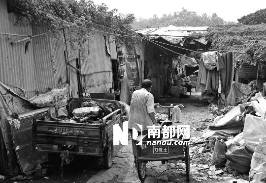 <p>    昨日下午，河南岸下馬莊南山園附近的大型廢品回收點內，住在棚戶區(qū)的外來人員載著行李四處尋找新的落腳點。</p>