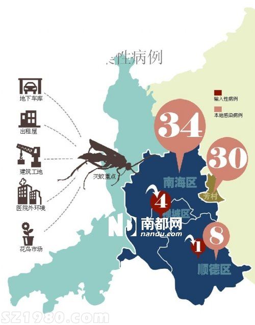 佛山本地登革熱患者8天增兩倍