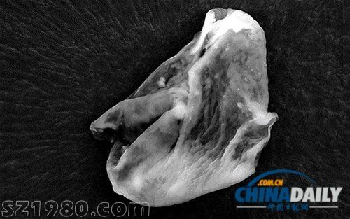 英國(guó)科學(xué)家稱大氣中發(fā)現(xiàn)外星生命惹爭(zhēng)議