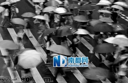<p>    22日傍晚，羅湖街頭， 天兔 帶來的風(fēng)雨正逐漸增大，行色匆匆下班的人群。 南都記者 徐文閣 攝</p>
