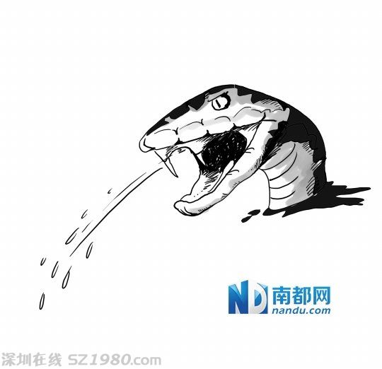 佛山師傅斬?cái)嘌坨R蛇后 被蛇頭噴毒毒傷