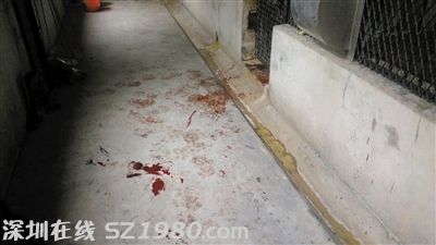 事發(fā)現(xiàn)場。圖/東方IC
