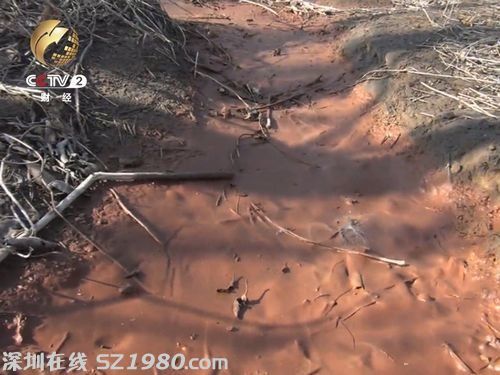 新金鋼鐵廠排出的污水流入棗樹(shù)地