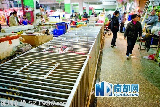 <a href=http://www.zshb029.com/shenzhen/ target=_blank class=infotextkey>深圳</a>H7N9患者住所附近市場 染病印傭曾來過