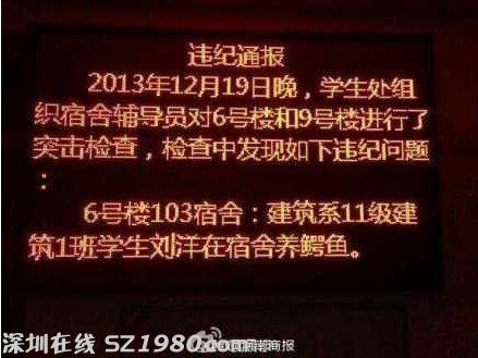 大學生在寢室養(yǎng)鱷魚 盤點大學奇葩事
