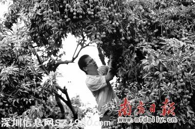 這個月到南山吃喝玩樂去！