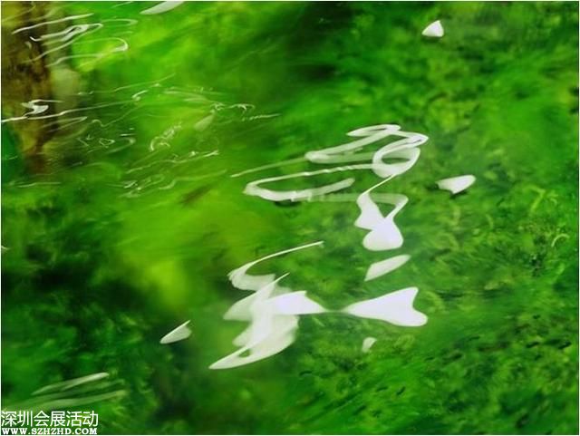 中紀委：河南省人大常委會副主任秦玉海被調(diào)查