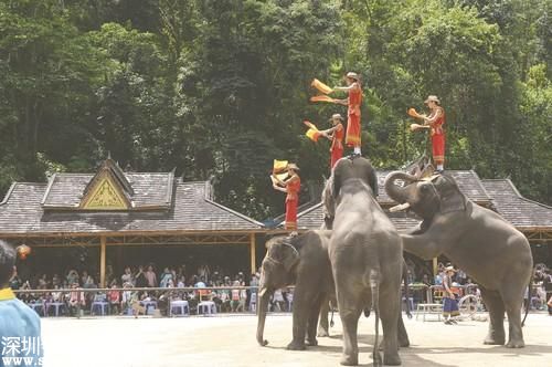 西雙版納旅游協(xié)會(huì)被指 蹲點(diǎn) 收 人頭費(fèi) 