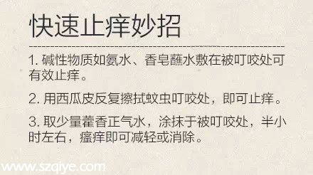 深圳登革熱高發(fā)季殺到 預(yù)防寶典趕快收藏！