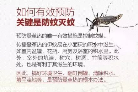 深圳登革熱高發(fā)季殺到 預(yù)防寶典趕快收藏！