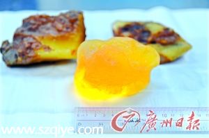 深圳(www.zshb029.com)：母女三人攜244斤琥珀入境被查