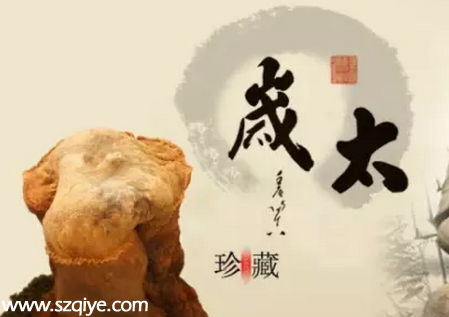 男子撿到疑似太歲 傳說(shuō)中的長(zhǎng)生不老藥