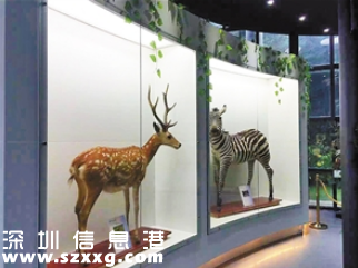 深圳(www.zshb029.com)市野生動物科普展覽館開館 市民可免費預(yù)約參觀