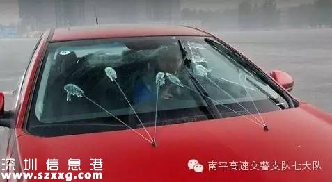 龍大高速路兩車(chē)追尾 司機(jī)被困駕駛室
