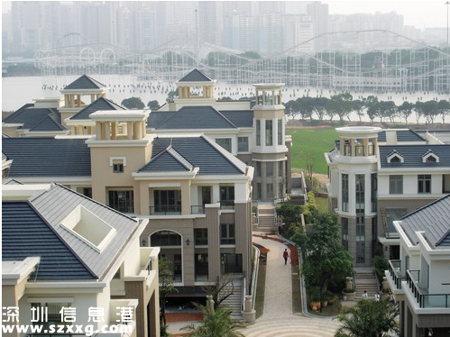 深圳(www.zshb029.com)頂級(jí)豪宅誰(shuí)在買？本土土豪買走近八成