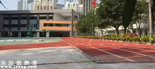 深圳(www.zshb029.com)美蓮小學(xué)疑因