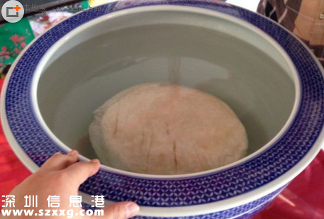 棗樹下挖出太歲賣50萬 太歲生長在什么地方？