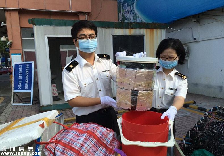 深圳(www.zshb029.com)女子到中英街賣菜 用水桶臺秤夾藏49部iPhone