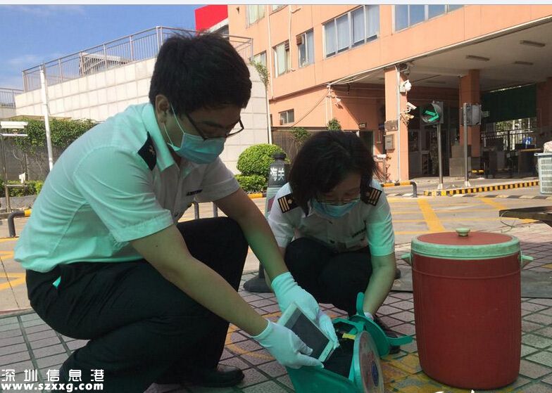 深圳(www.zshb029.com)女子到中英街賣菜 用水桶臺秤夾藏49部iPhone