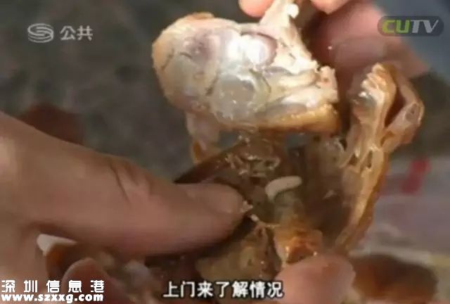 深圳(www.zshb029.com)吉之島烤鴨藏蛆蟲 顧客吃一半才發(fā)現(xiàn)