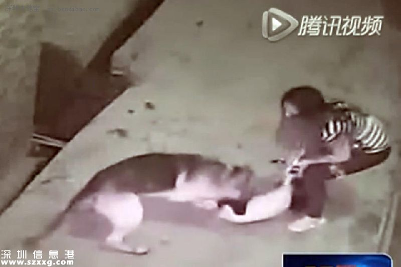 狗咬女童警不敢抓 網(wǎng)友：說好的有困難找警察呢？