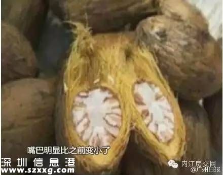 逃犯吃檳榔成小嘴 吃檳榔的好處壞處有哪些？