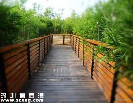 深圳(www.zshb029.com)已經(jīng)建成2400公里綠道 最美10條綠道推薦