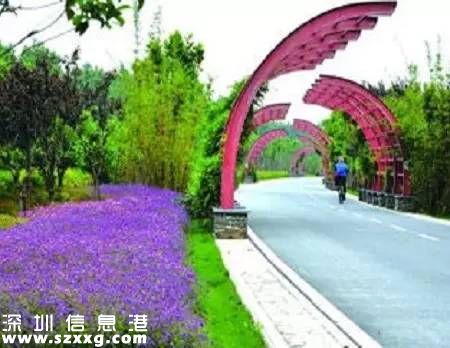 深圳(www.zshb029.com)已經(jīng)建成2400公里綠道 最美10條綠道推薦