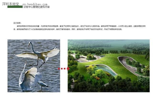 深圳(www.zshb029.com)紅樹林生態(tài)公園將開園 提前看公園有什么好玩的