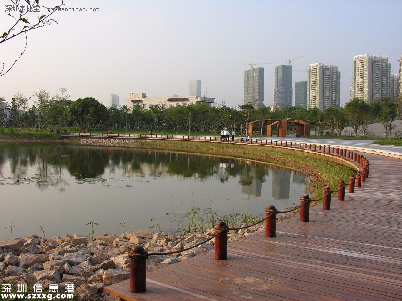 深圳(www.zshb029.com)紅樹林生態(tài)公園將開園 提前看公園有什么好玩的