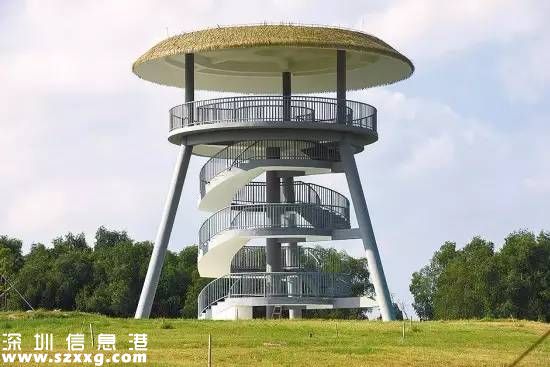 深圳(www.zshb029.com)紅樹林生態(tài)公園將開園 提前看公園有什么好玩的