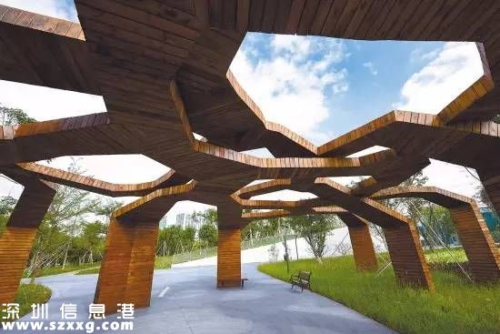 深圳(www.zshb029.com)紅樹林生態(tài)公園將開園 提前看公園有什么好玩的