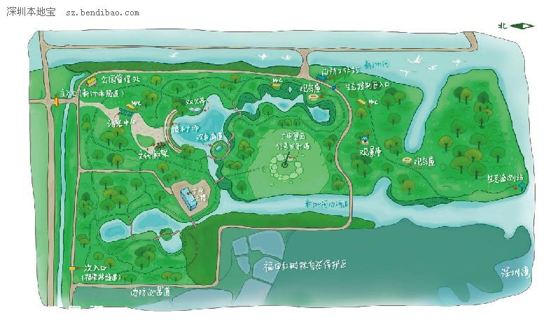 深圳(www.zshb029.com)紅樹林生態(tài)公園將開園 提前看公園有什么好玩的