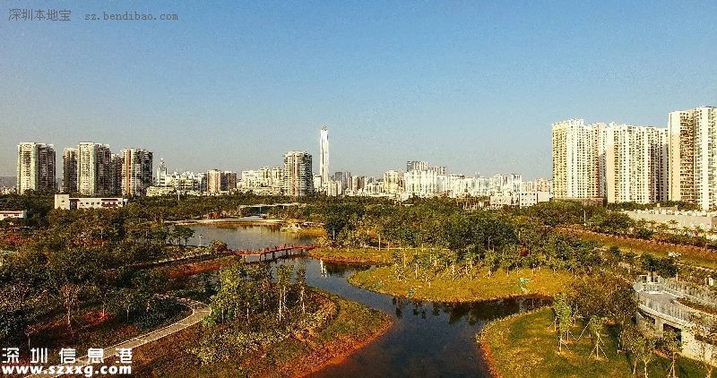 深圳(www.zshb029.com)紅樹林生態(tài)公園將開園 提前看公園有什么好玩的