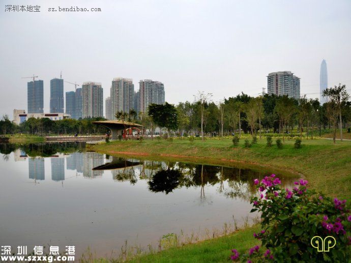 福田紅樹林生態(tài)公園只?容納2200人? 游客需排隊(duì)