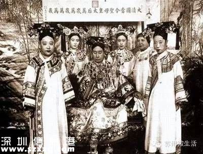 避屬羊致出生減少 為什么說屬羊的命不好？