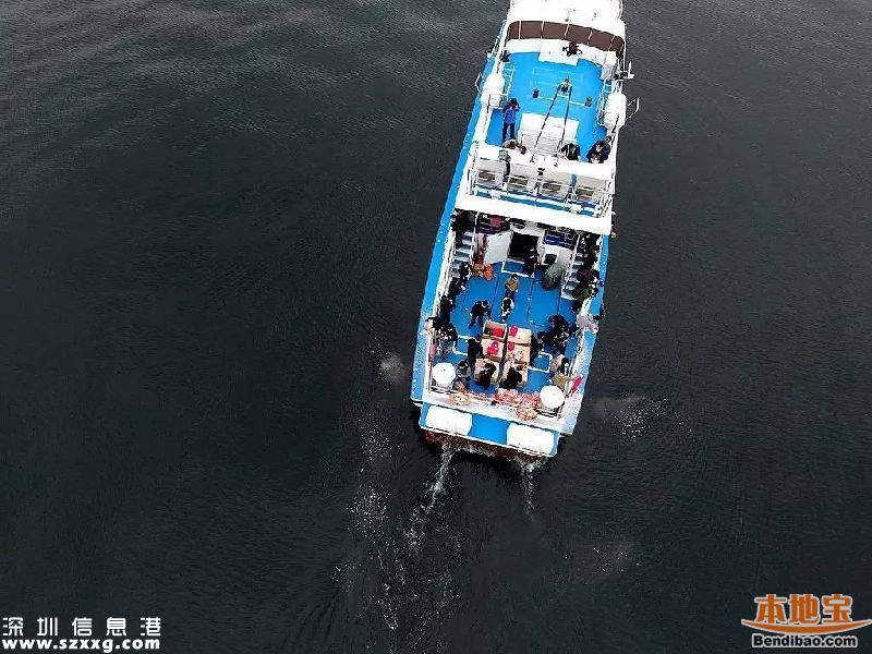 深圳172位逝者海葬或樹葬 獎(jiǎng)勵(lì)辦法正在商討