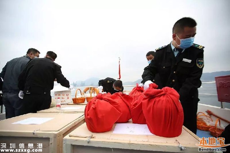 深圳172位逝者海葬或樹葬 獎(jiǎng)勵(lì)辦法正在商討
