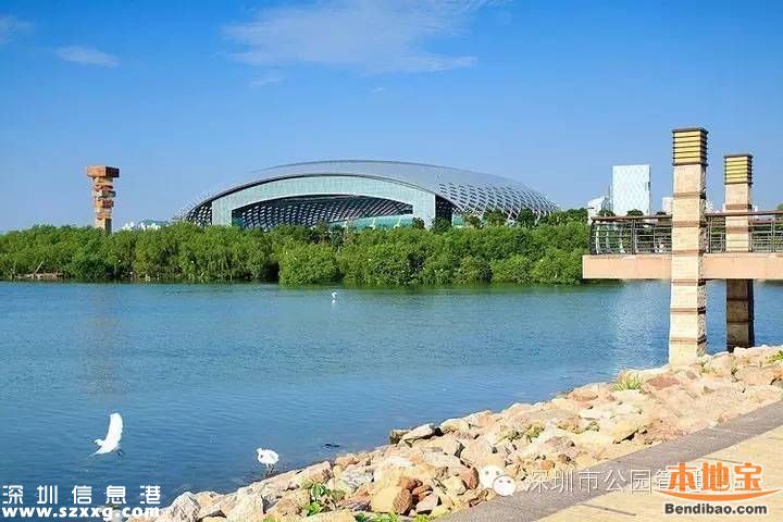 深圳灣公園人車混行怎么治？或增建7座橋