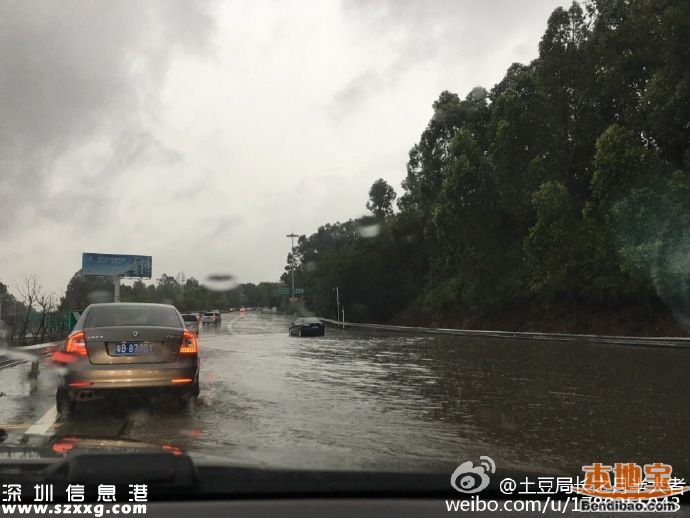 深圳暴雨 學(xué)校停課嗎？