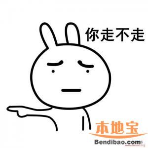 白領(lǐng)夫婦賣房回鄉(xiāng) 你呢？會何時離開深圳？