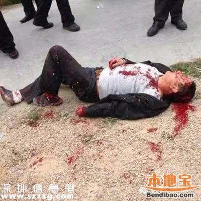 <a href=http://www.zshb029.com/shenzhen/ target=_blank class=infotextkey>深圳</a>偷狗賊殘忍手段令人發(fā)指 警方鳴槍示警