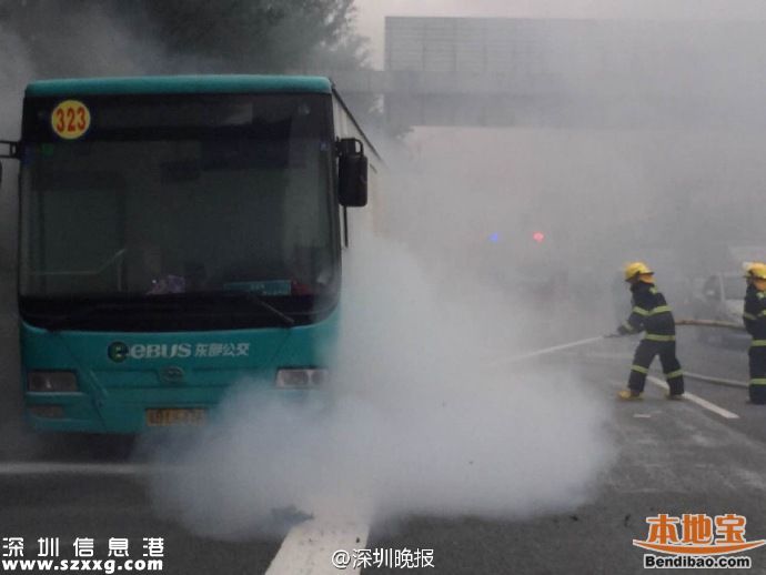 <a href=http://www.zshb029.com/shenzhen/ target=_blank class=infotextkey>深圳</a>公交整治行動(dòng)啟動(dòng) 從三方面出重拳