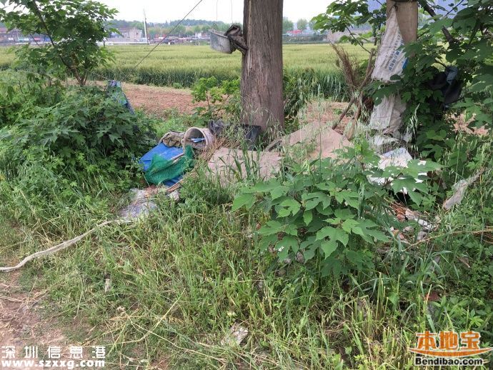 湖工大保安撞狗護學生 涉事人員已停職