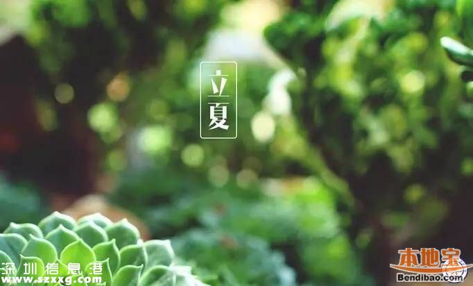 立夏如何養(yǎng)生 立夏養(yǎng)生從哪些方面？