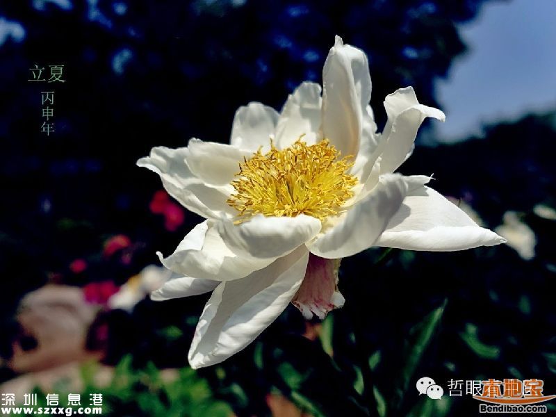 立夏如何養(yǎng)生 立夏養(yǎng)生從哪些方面？