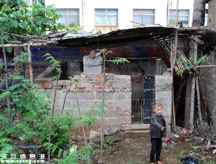 兄妹倆被拴豬圈邊 腦癱兄妹無(wú)錢(qián)治病好心塞(圖)