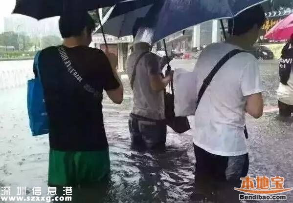 深圳龍舟水預計在5月中下旬 什么是龍舟水？